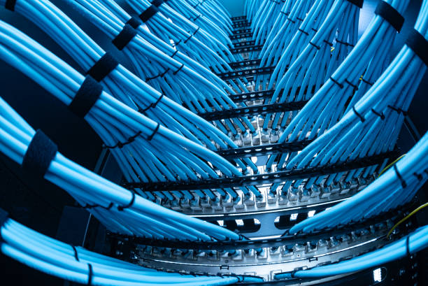 Ethernet cables in patch panel
